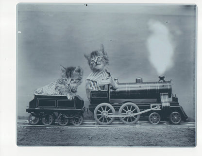 The Fast Express – 1914 Cat Train Photo on Archival Metal Plate /50