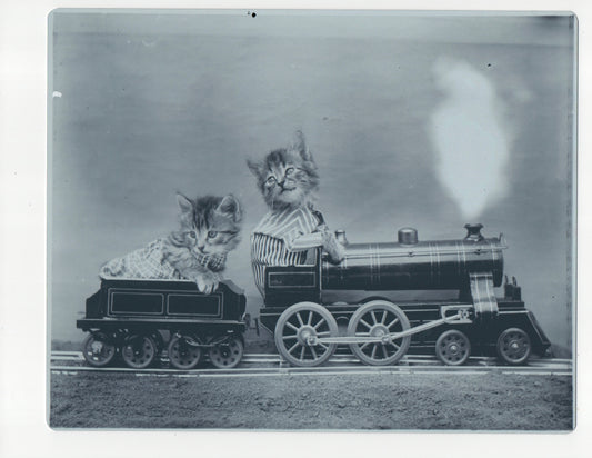 The Fast Express – 1914 Cat Train Photo on Archival Metal Plate /50