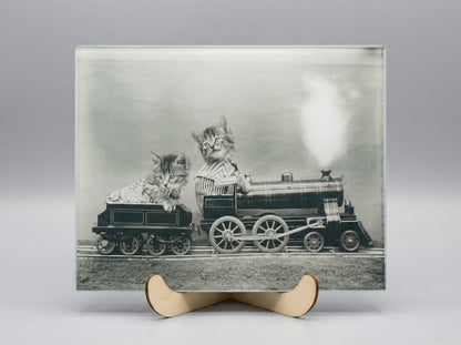 The Fast Express – 1914 Cat Train Photo on Archival Metal Plate /50